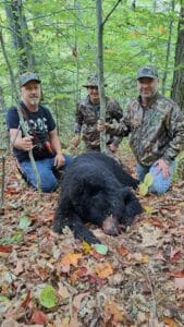 Bear4
