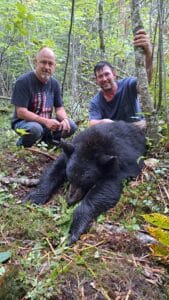 Bear7